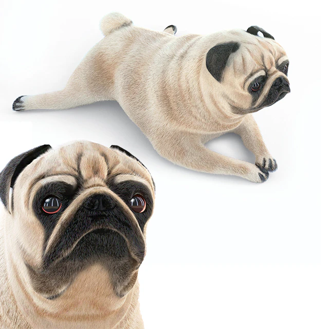 Pug 1 - Winter is coming — Descargar