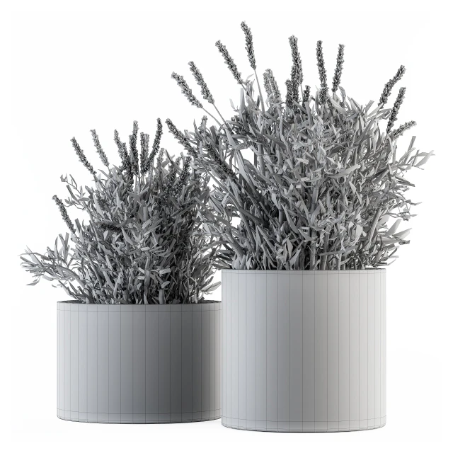 indoor Plant Set 183 - Lavender Bush — Скачать