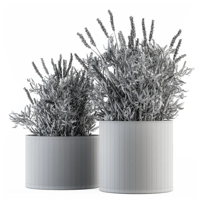 indoor Plant Set 183 - Lavender Bush — Вид 3