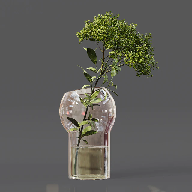 Collaction Indoor Plants 06 — Скачать