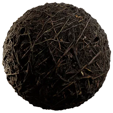 damp forest floor 003 — Descargar