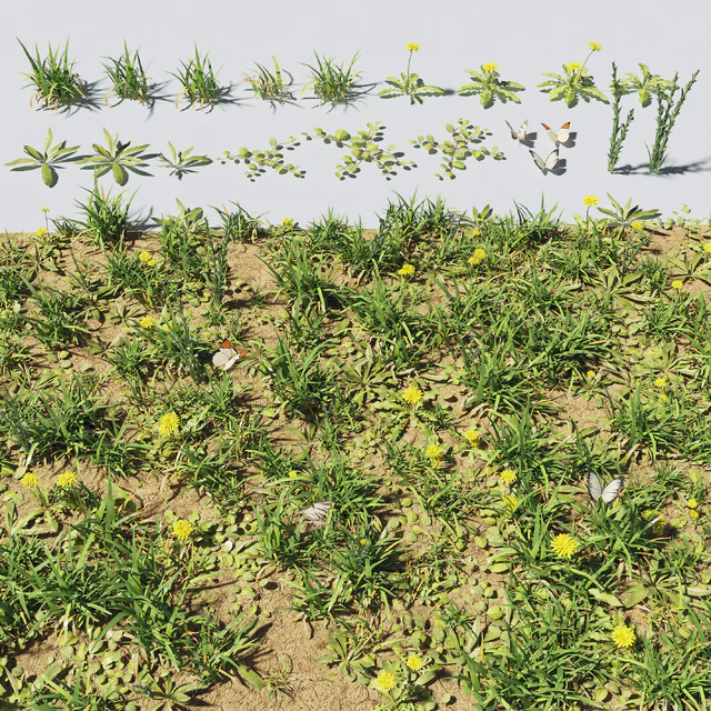 Grass &amp; plants — Descargar