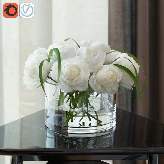White peonies — Descargar