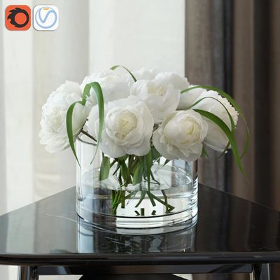 White peonies — Descargar