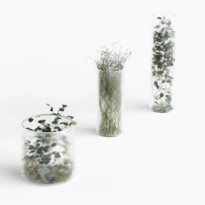 Plants in frosted vases — descargar