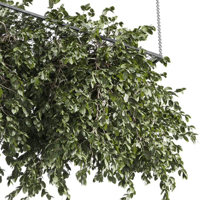 Hanging plants - outdoor plant set 171 — Скачать