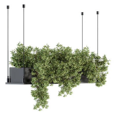 indoor Plant Set 217 - Hanging Plant  Box — Вид 1