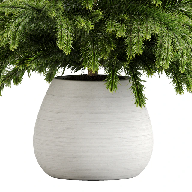 indoor plant Set 18 — Скачать