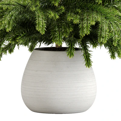 indoor plant Set 18 — Вид 2