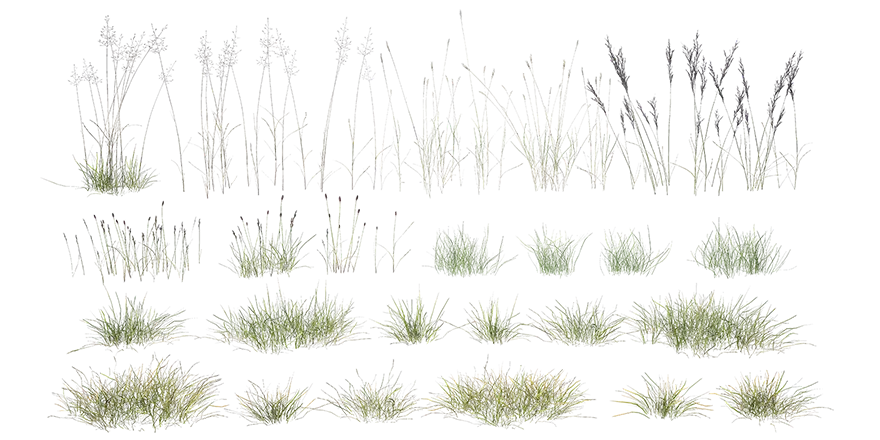 tundra grass 001 — Descargar