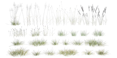 tundra grass 001 — Descargar