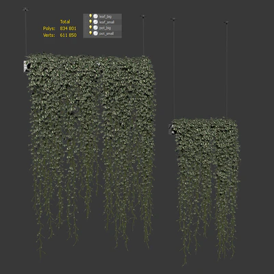 Plants in hanging pots. 2 models — Ver 3