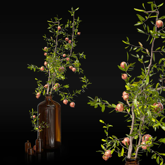 Pomegranate branches in pharmacy bottles — Descargar