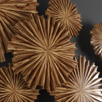 circle wood — Ver 2