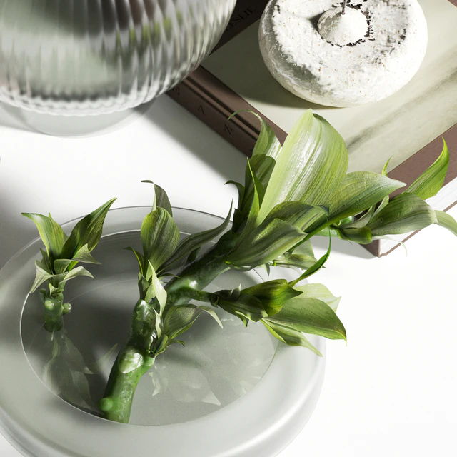 Decorative Spring Set 041 — Скачать