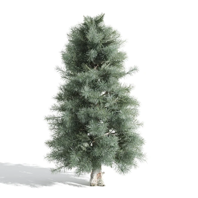 3 Pine tree — Descargar