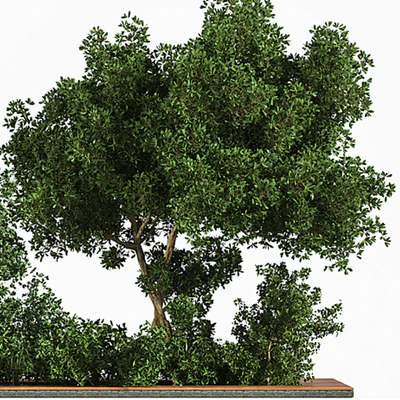 Garden set Grass   &   Tree — Ver 2