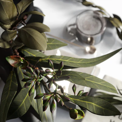 Decorative set 021 with 101 Copenhagen vases — Ver 2