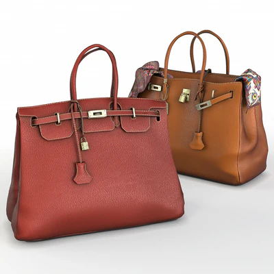 Hermes Birkin Handbags — Ver 1