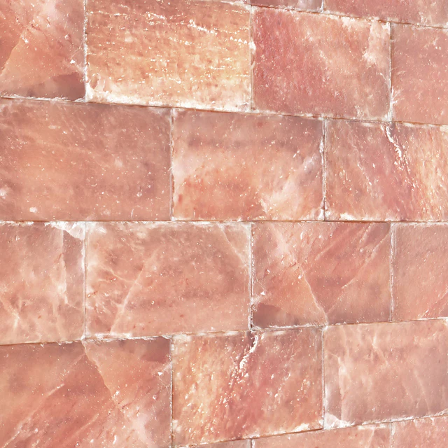Himalayan salt bricks — Descargar