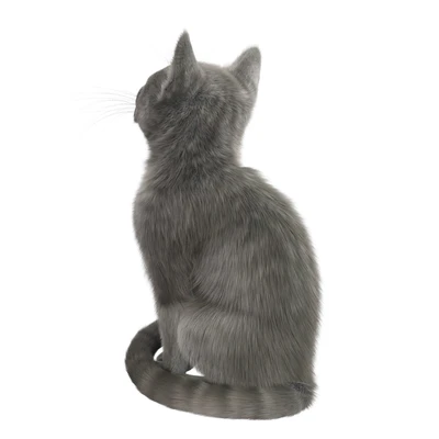 CAT FEDOR Corona — Ver 2