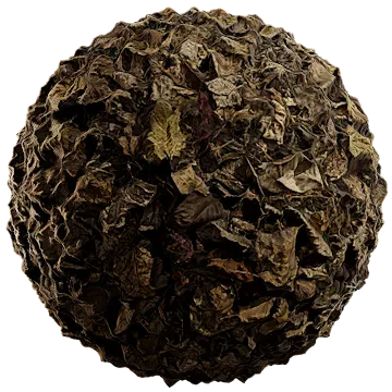 fallen leaves 015 — Скачать