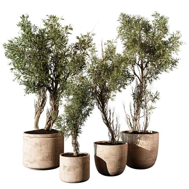 Outdoor Plant 207 — Descargar