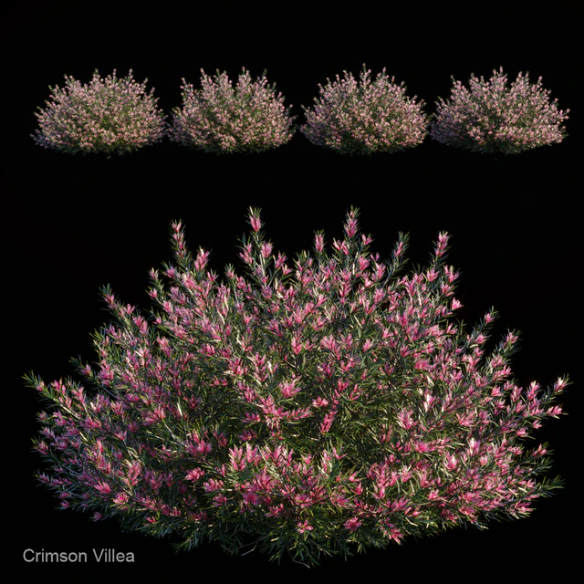 Crimson Villea — Скачать