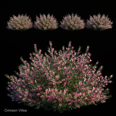 Crimson Villea — Скачать