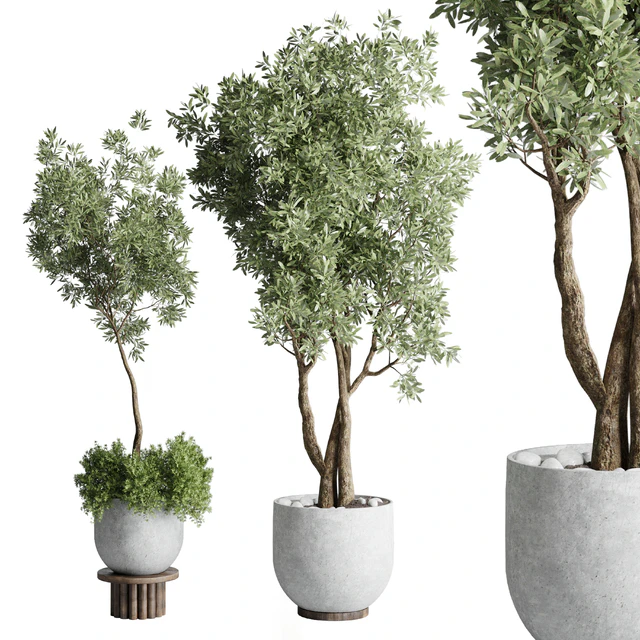 Collection Outdoor Indoor plant 52 concrete dirt vase pot tree — Скачать