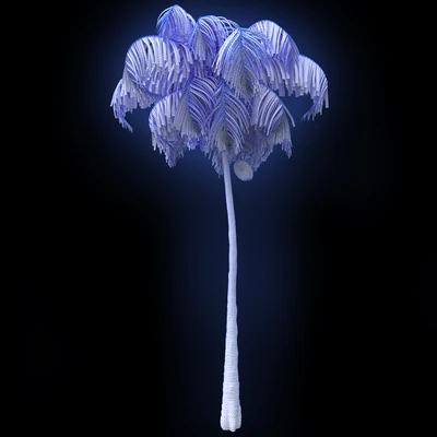 Palm — Ver 2