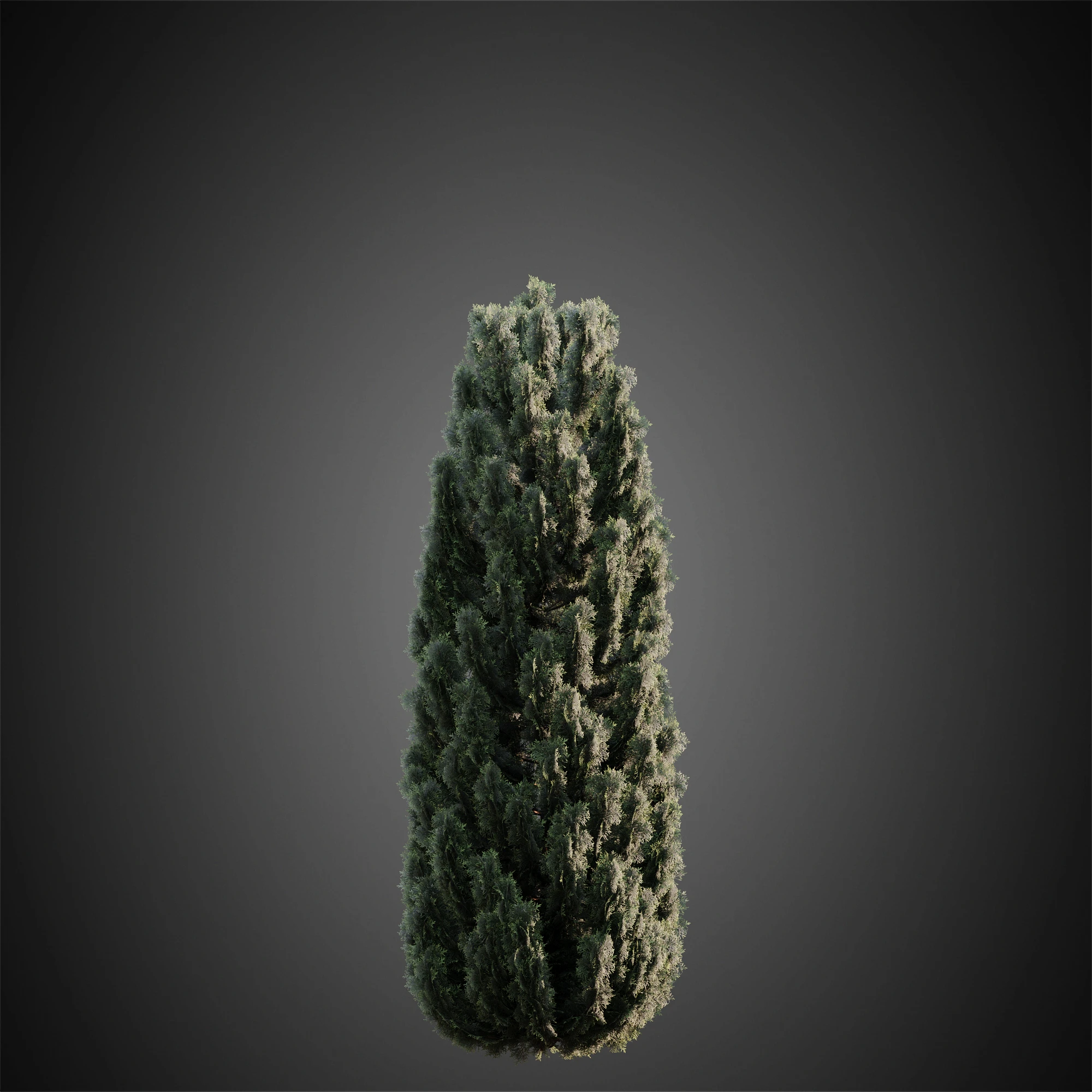 005 — Скачать