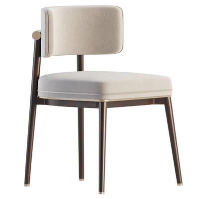 Frank dining chair by ASTER — Ver 4