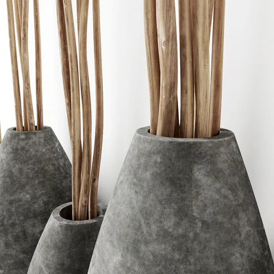 Decor from branches in concrete vases — Ver 3