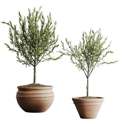 outdoor plant set 06 — Вид 2