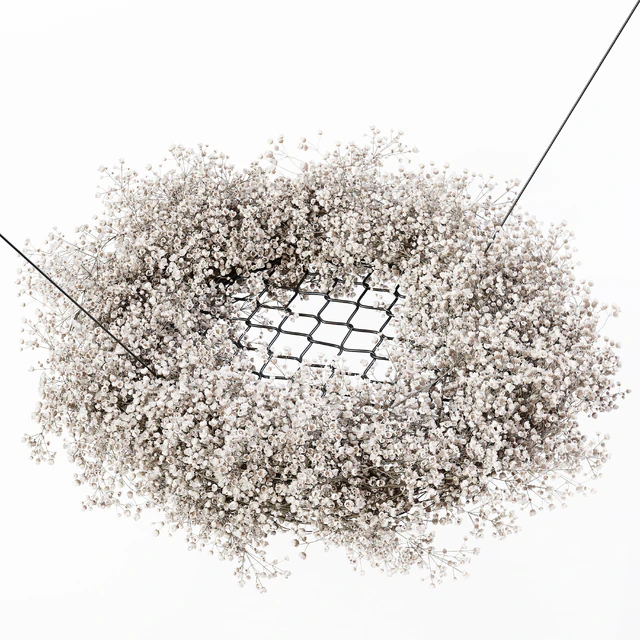 Chandelier Gypsophila — Descargar