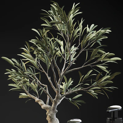 Tiny bonsai olive tree in stone pot with decor set for bathroom — Ver 2