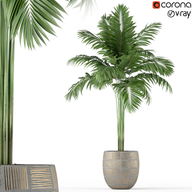 Plants collection 220 — Descargar
