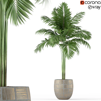 Plants collection 220 — Ver 1