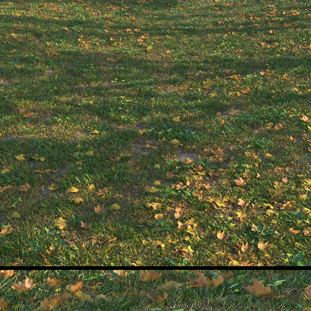 grass set05 with leaves — Descargar