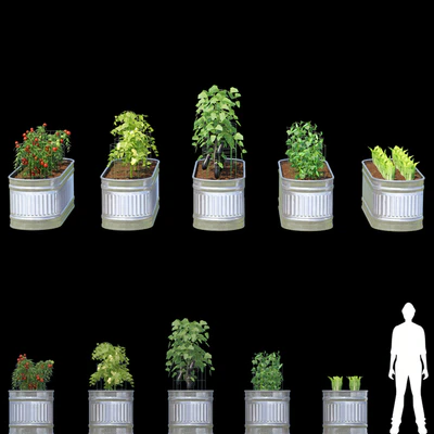 Garden | Kitchen garden — Ver 3