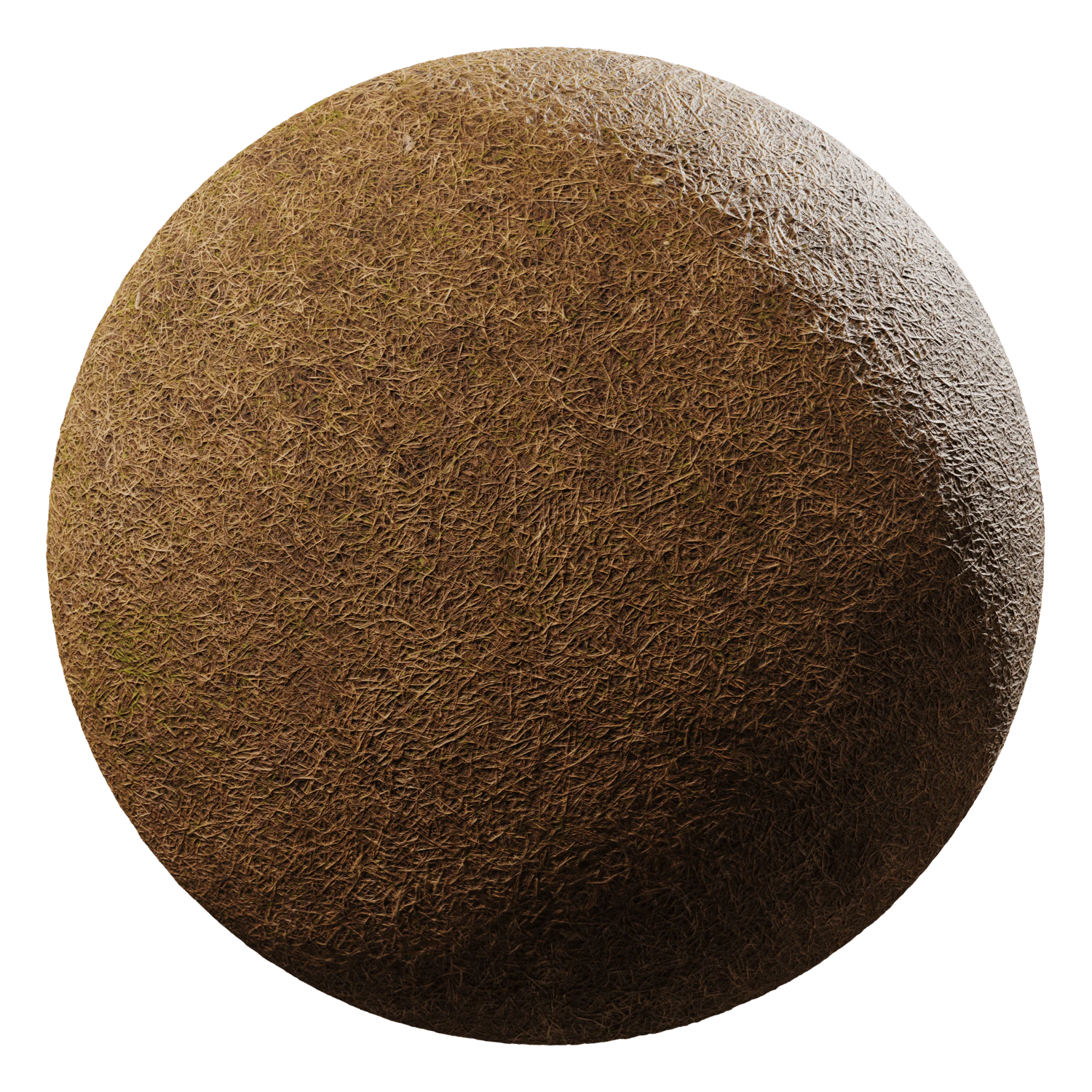 grass brown 003 — Download