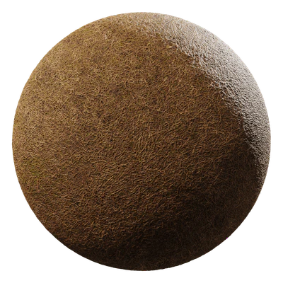 grass brown 003 — Download