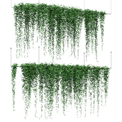 Ivy hanging from the ceiling. 2 models — Ver 1