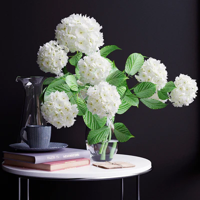 Decorative set, hydrangea 2 — Ver 1