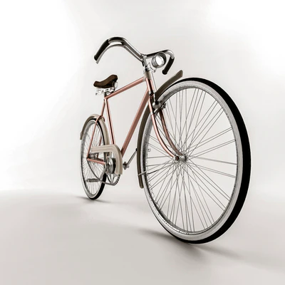Vintage Bike — View 2
