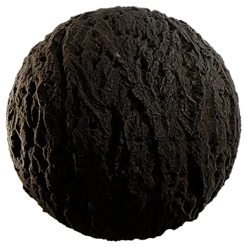 tree bark 006 — Скачать
