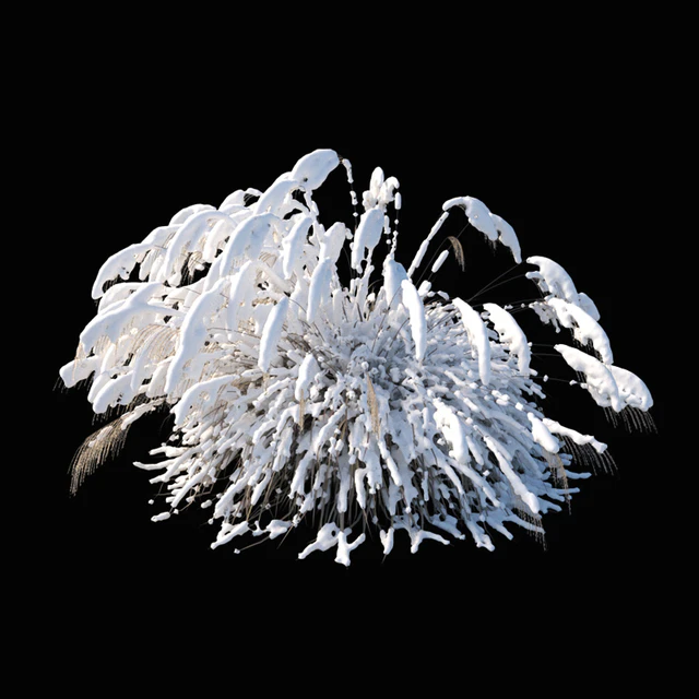 Miscanthus sinensis winter model — Скачать