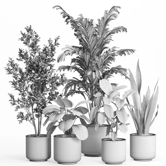 indoor plant set 56- ceramic pot — Descargar
