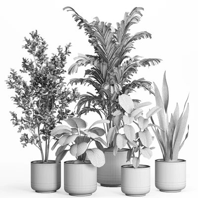 indoor plant set 56- ceramic pot — Ver 3
